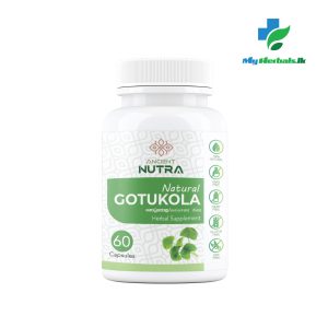 Gotukola Capsules - 60 Caps- Ancient Nutra