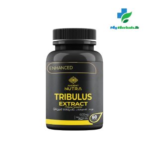 Tribulus Extract-Ancient Nutra