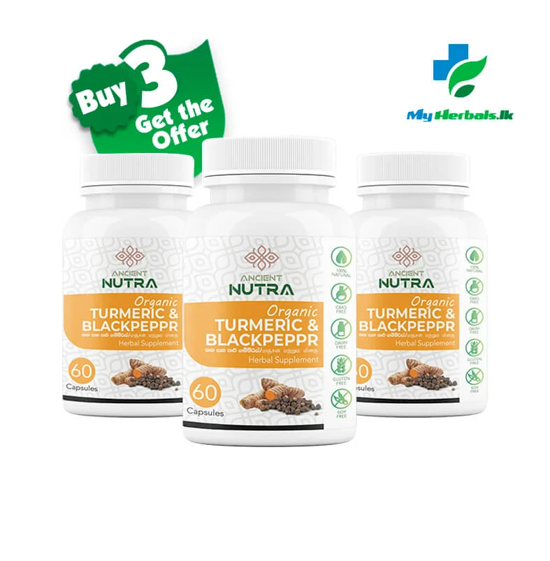 Ancient Nutra Offer Turmeric & Black Pepper Capsules bottle, a herbal supplement to support healthy glucose metabolism and blood sugar regulation.